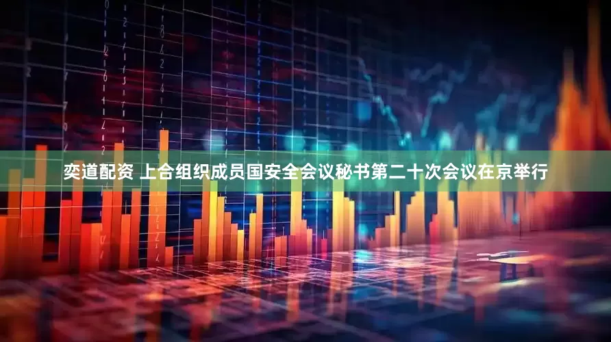 奕道配资 上合组织成员国安全会议秘书第二十次会议在京举行