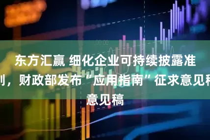 东方汇赢 细化企业可持续披露准则，财政部发布“应用指南”征求意见稿
