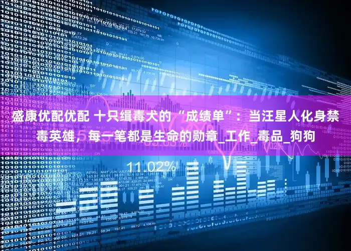 盛康优配优配 十只缉毒犬的 “成绩单”：当汪星人化身禁毒英雄，每一笔都是生命的勋章_工作_毒品_狗狗